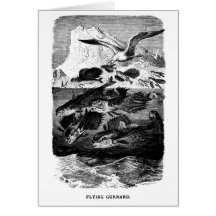 Natural History Blank Note Card