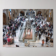 Natural History Museum from above photo Posters
