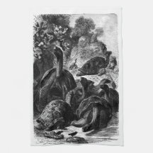 Natural History Print Towel