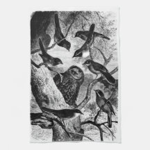 Natural History Print Towel