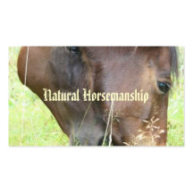 Natural Horsemanship Business Card