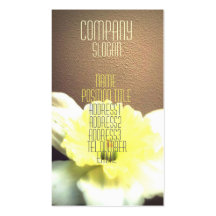 Natural Light Business Cards