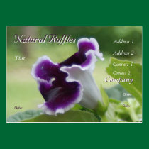 Natural Ruffles Profile Card business cards