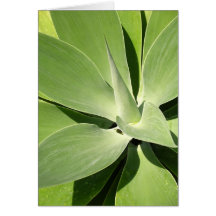 Natural Shades of Green Cards