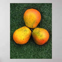 Nature art 06 poster