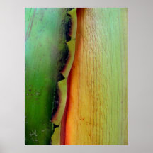 Nature art 07 print