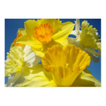 Nature custom Appointment Reminder Cards Daffodils Business Card Templates