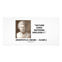 Nature Does Nothing Uselessly (Aristotelian Quote) Picture Card