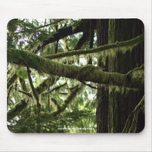 Nature Lover Forest Photo Mousepad