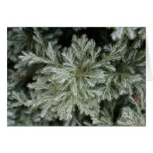 Nature Lover's Blank Note Card