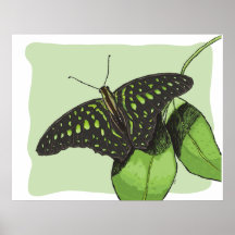 Nature’s Camouflage Butterfly Posters