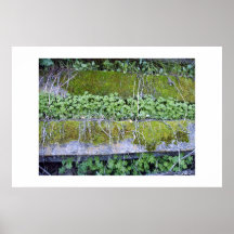 Natures art print