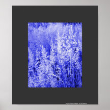 Natures beauty art poster
