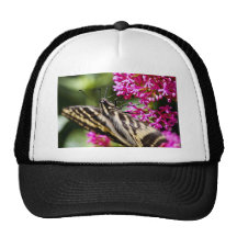Natures Beauty Hat