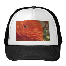 Natures Beauty Hat