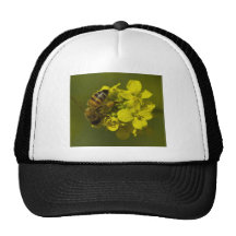 Natures Beauty Hats