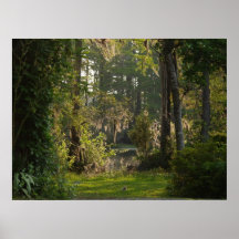 Natures Beauty Posters