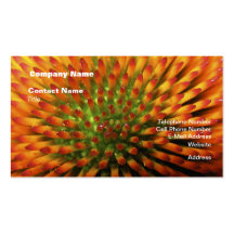 Nature's Candy Corn Business Cards