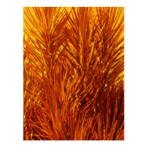 Natures Salsa II Postcards