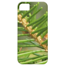 Natures Serenity iPhone 5 Cases