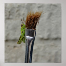 Natures Touch Poster