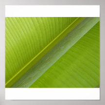 Natures Tranquilliser Print