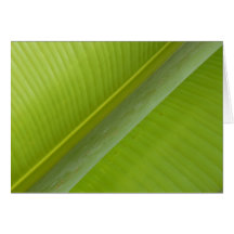 Natures Tranqulizer Greeting Card