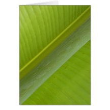 Natures Tranqulizer Greeting Cards