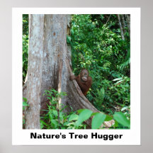 Nature's Tree Hugger Poster