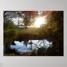 Natures Window Print