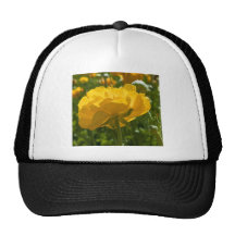 Natures Yellow Beauty Hats
