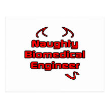Naughty Biomedical Engineer Post Card