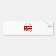 Naughty Software Engineer Bumper Stickers