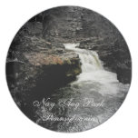 Nay Aug Dinner Plate