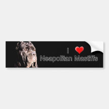 Neapolitan mastiff bumper sticker