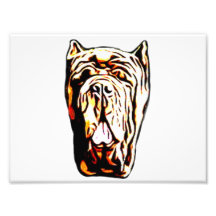 Neapolitan Mastiff Photographic Print