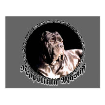 Neapolitan mastiff postcard