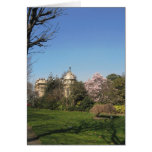 Near the Champs- Elysées Cards