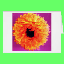 NEON FIORI cards
