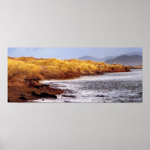 Nestucca River Seagrass Posters