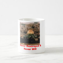  Never Destroyed & Never Will Mugs
