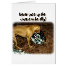 Never Pass Up The Chance to be Silly! Card