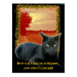 Never trust a black cat on Halloween Postcard