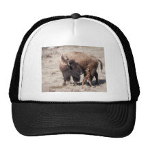 New Born Bison Hats