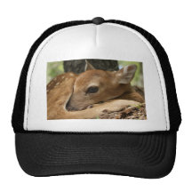 New Born Trucker Hat