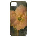 New Day Gardens iPhone Case Daylily A