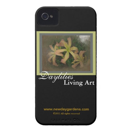 New Day Gardens iPhone Case Daylily Living Art SF iPhone 4 Cases