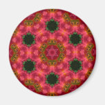 New Day Gardens Magnet- Kaleidoscopic Daylily BF