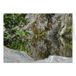 New Day Gardens Notecard- Reflecting Pool