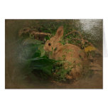 New Day Gardens Notecards- Bunny A